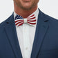 Brackish Bow Tie